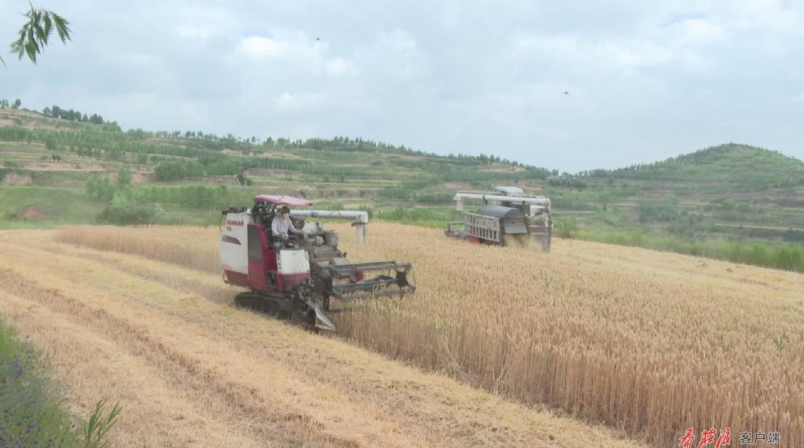 暴风截图2023811116441953