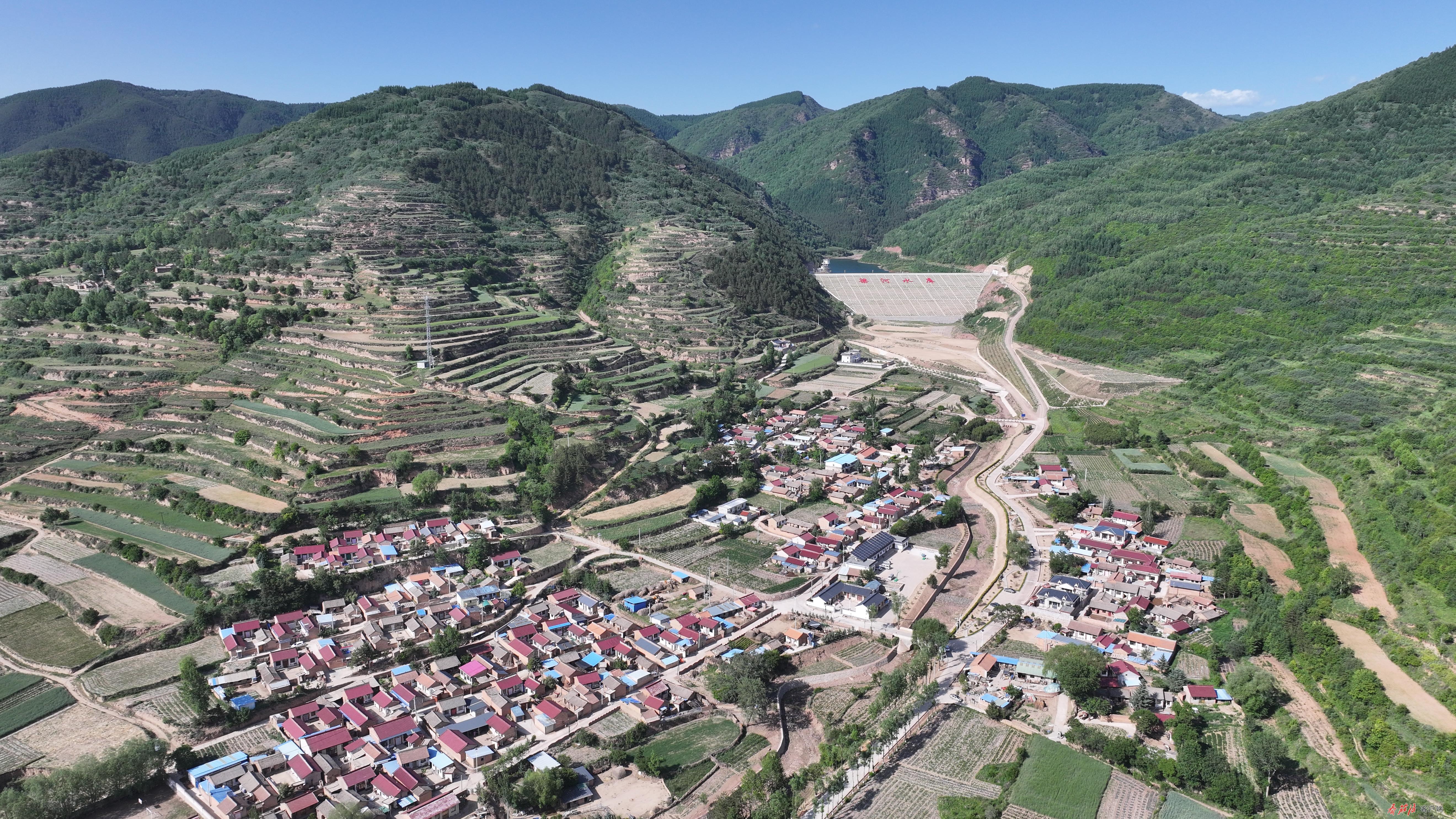 DJI_20250611164528_0113_D.jpg