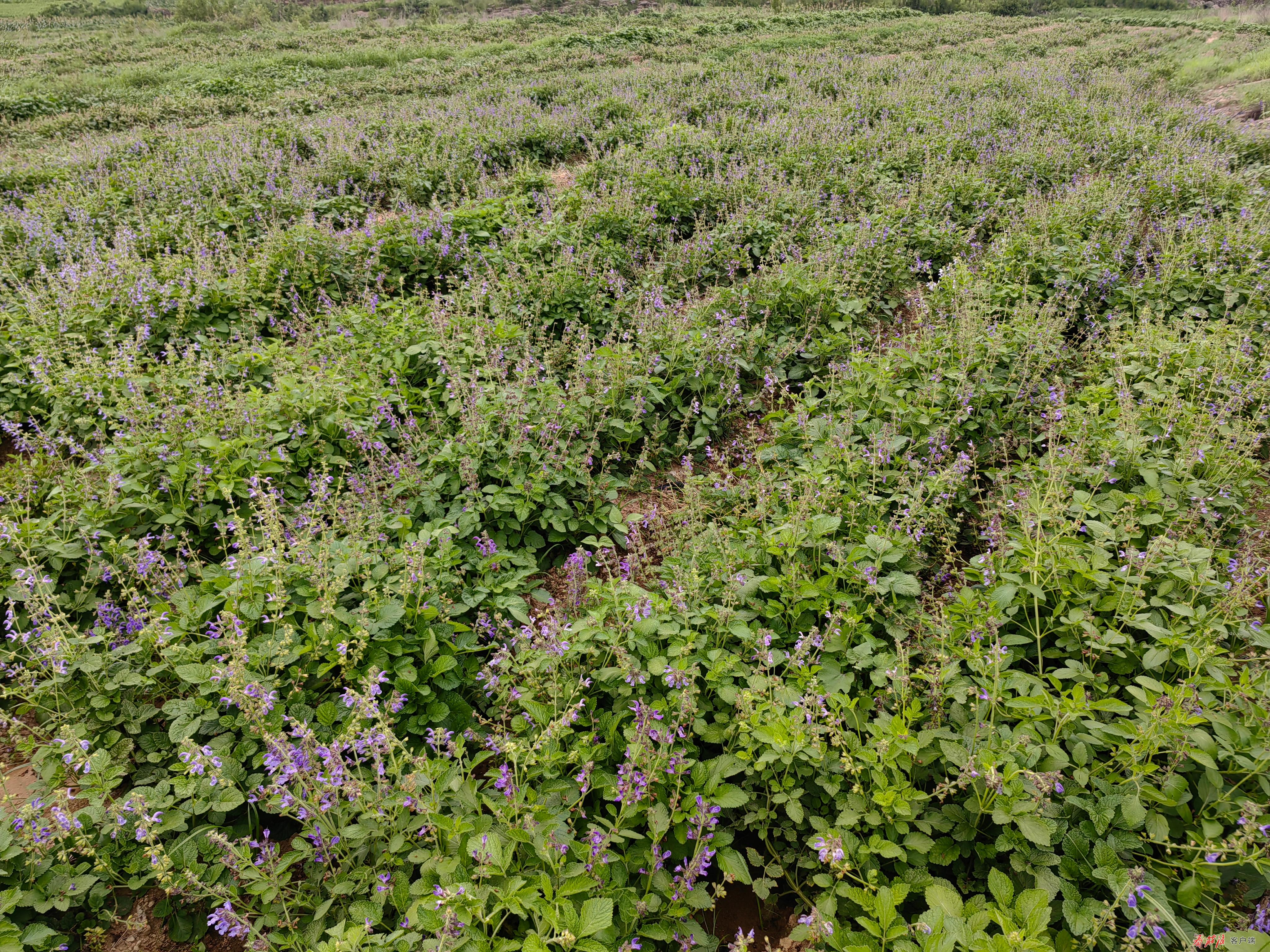 微信图片_20260107085220_245_57