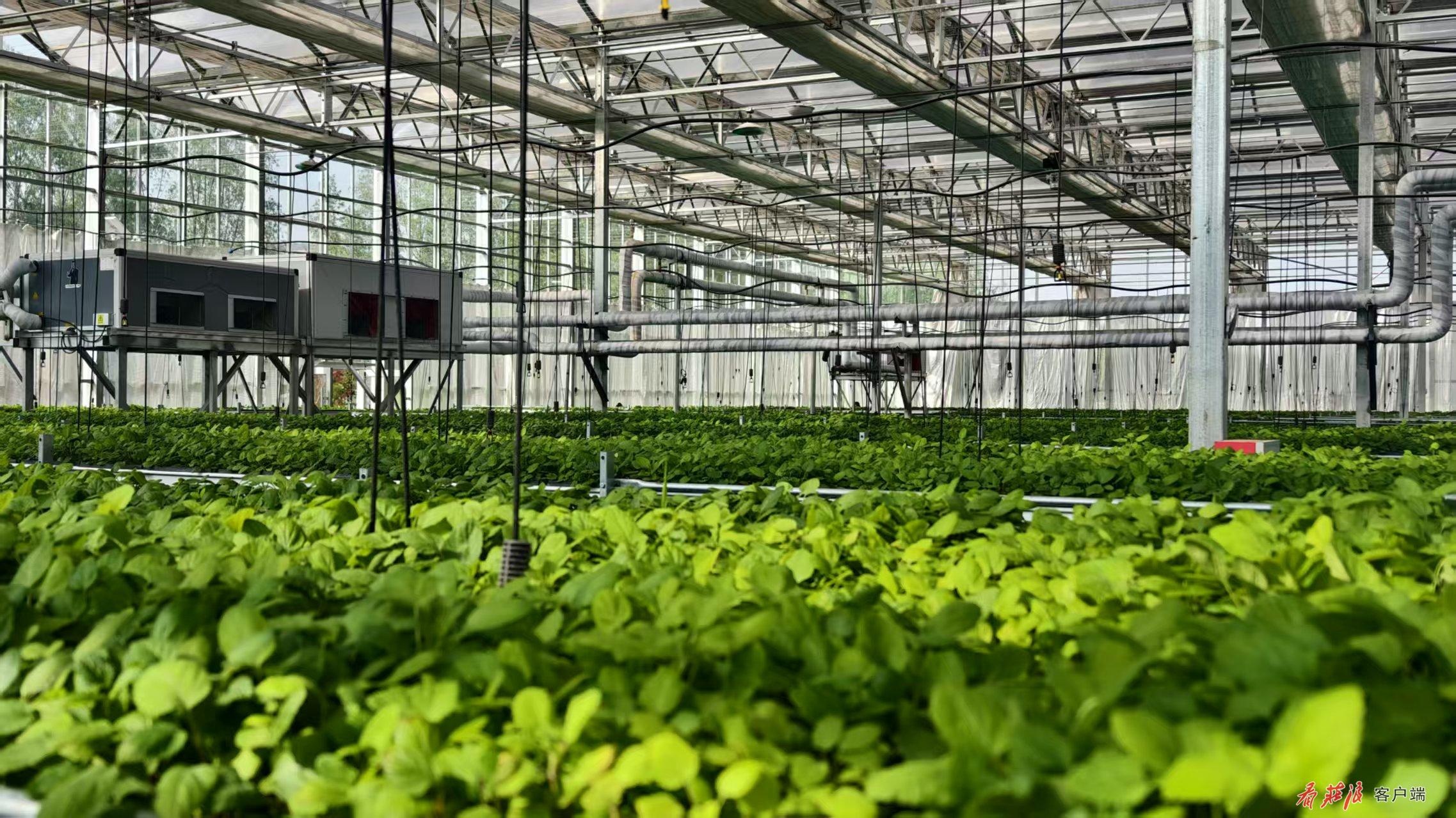 微信图片_20260107085222_246_57