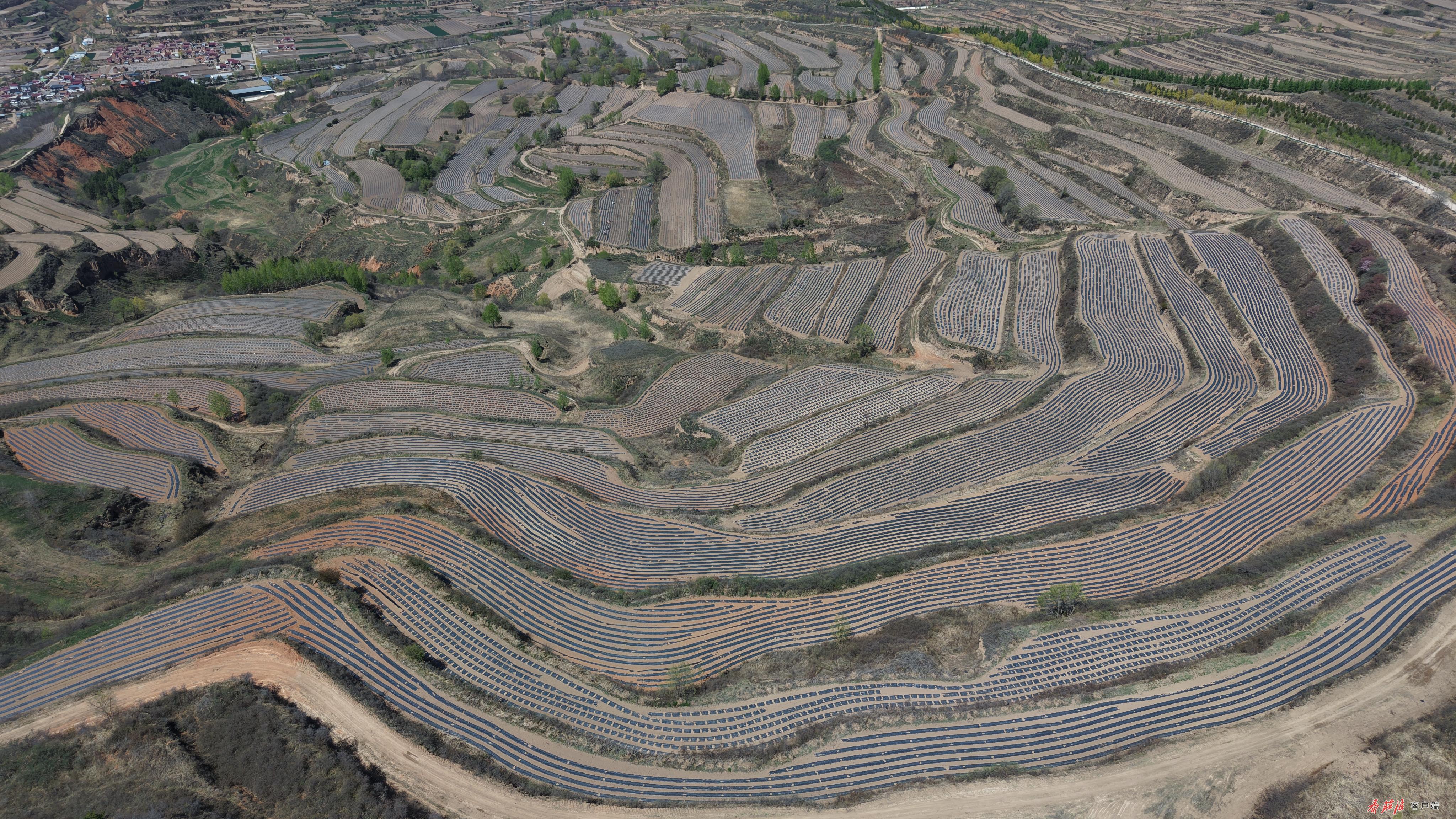 庄浪县永宁镇马铃薯种植基地.jpg