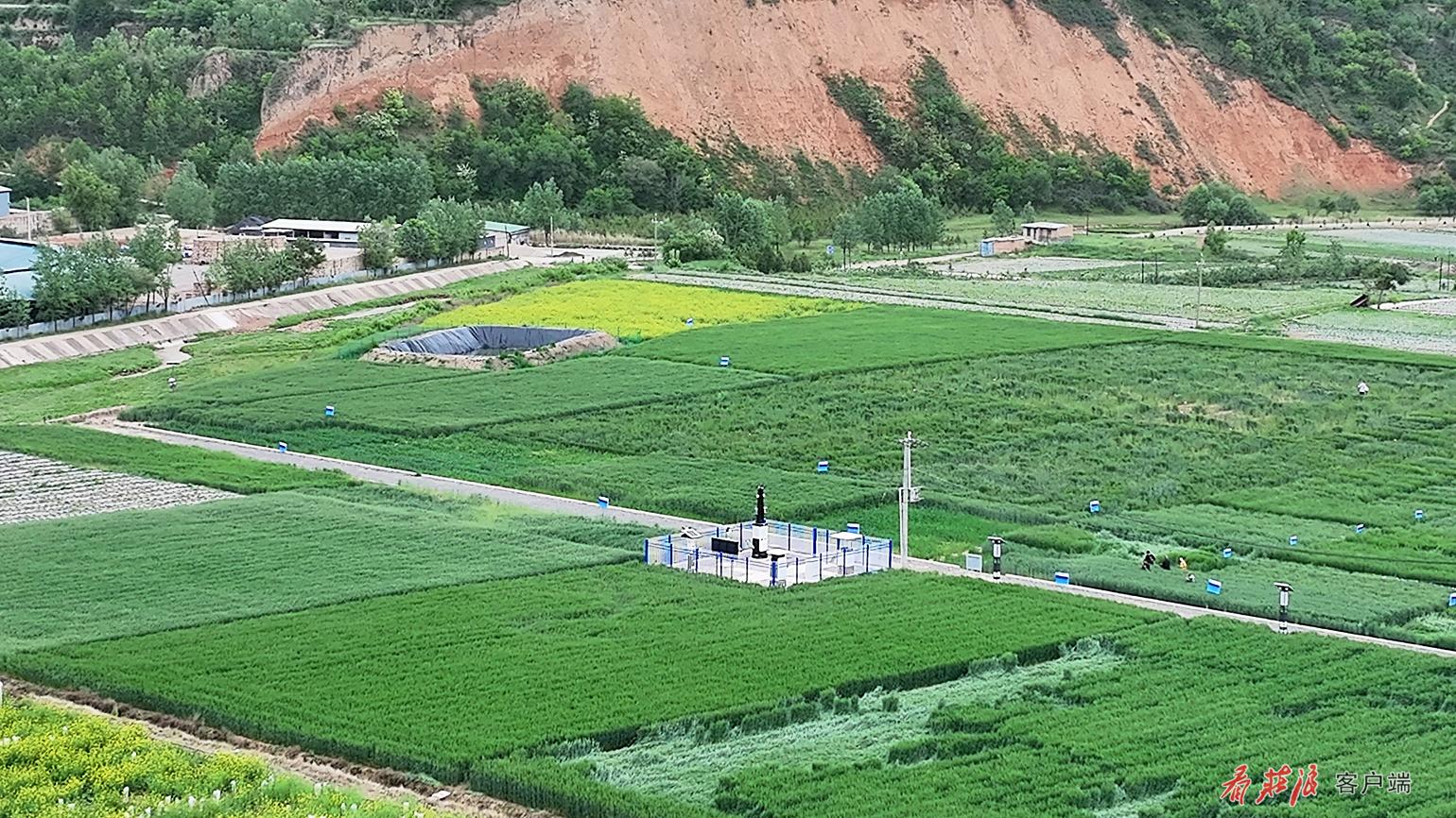 微信图片_20260602100015_93_6